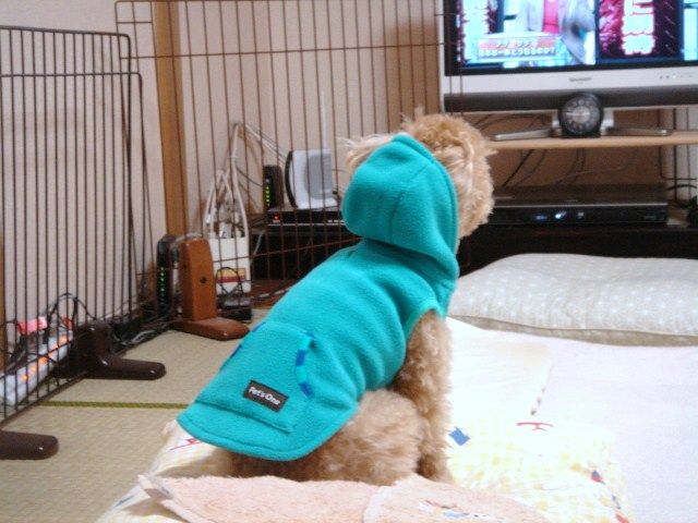 イメージ 3