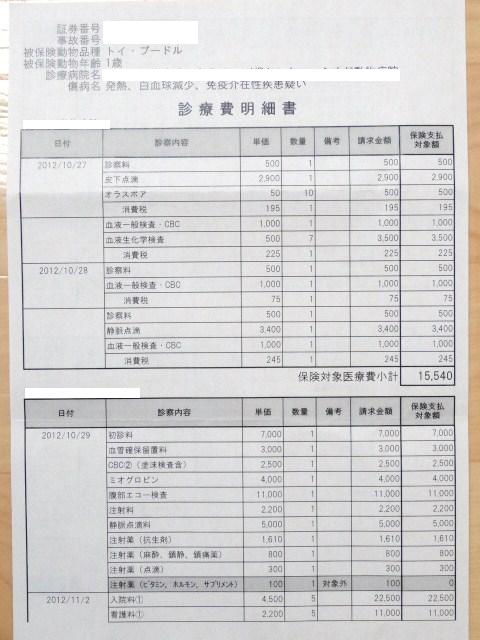 イメージ 5