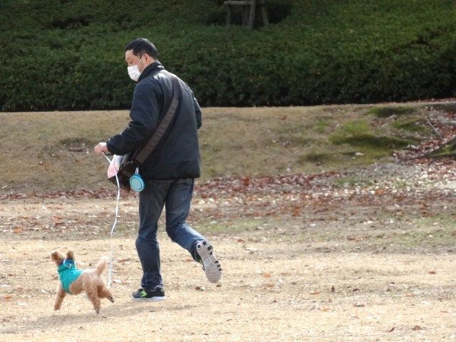 イメージ 7