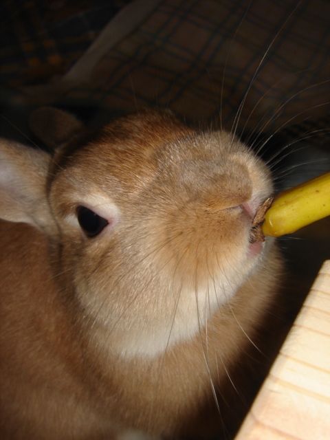 イメージ 4
