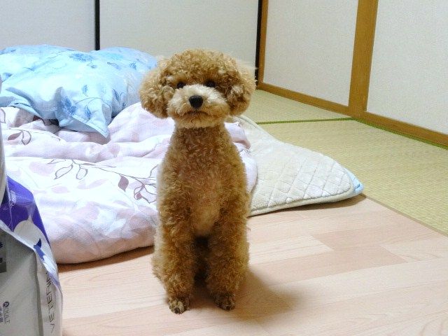 イメージ 3