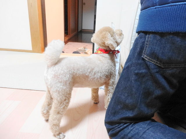 イメージ 2