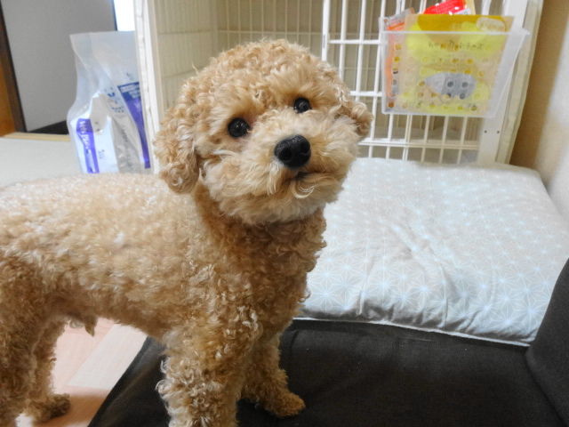 イメージ 1