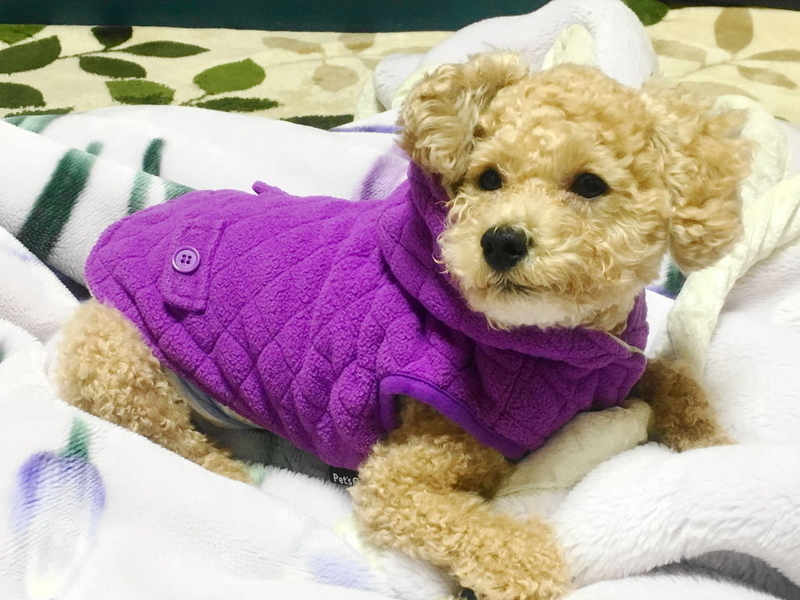 イメージ 7