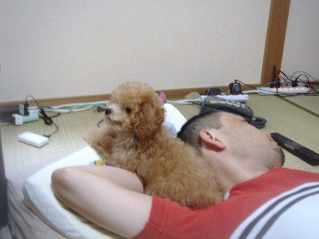 イメージ 10