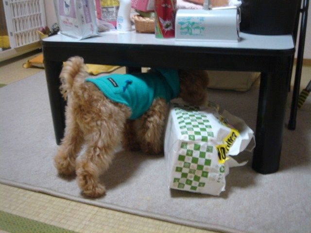 イメージ 8