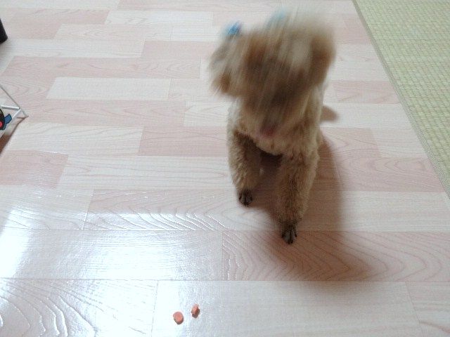 イメージ 4