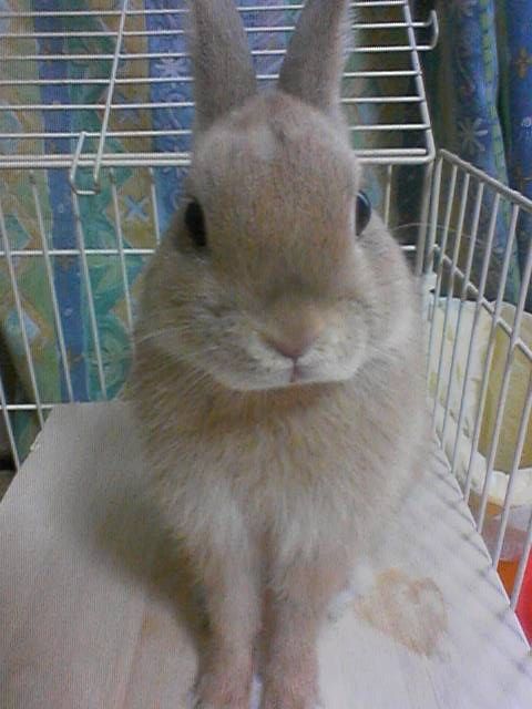 イメージ 1