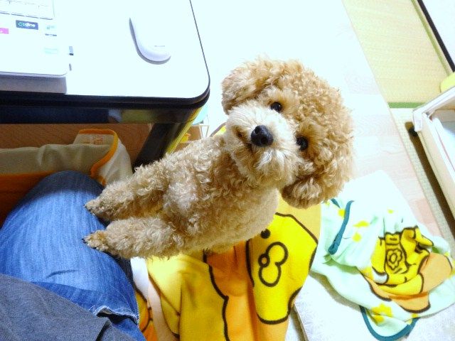 イメージ 3