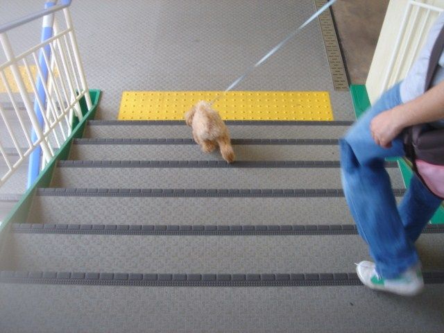 イメージ 8