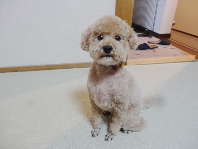 イメージ 1