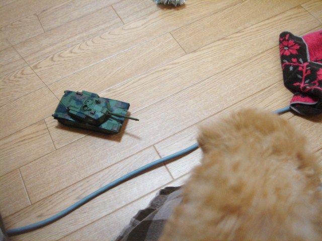 イメージ 7