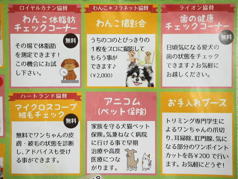 イメージ 2