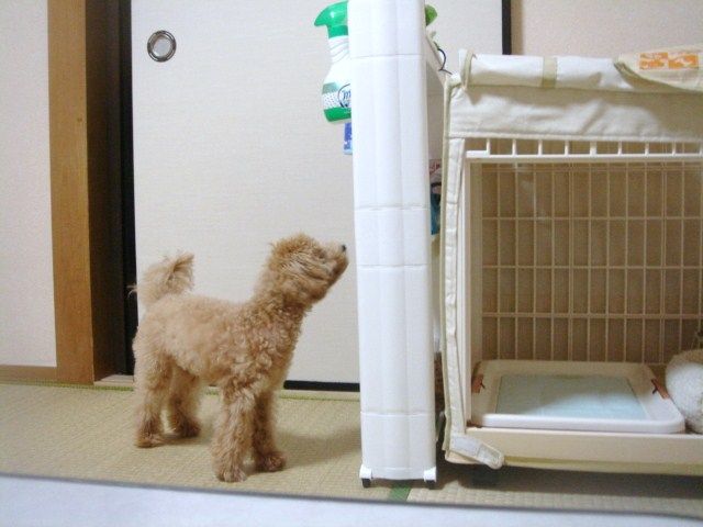 イメージ 3