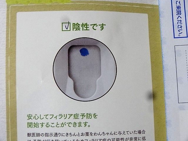 イメージ 6