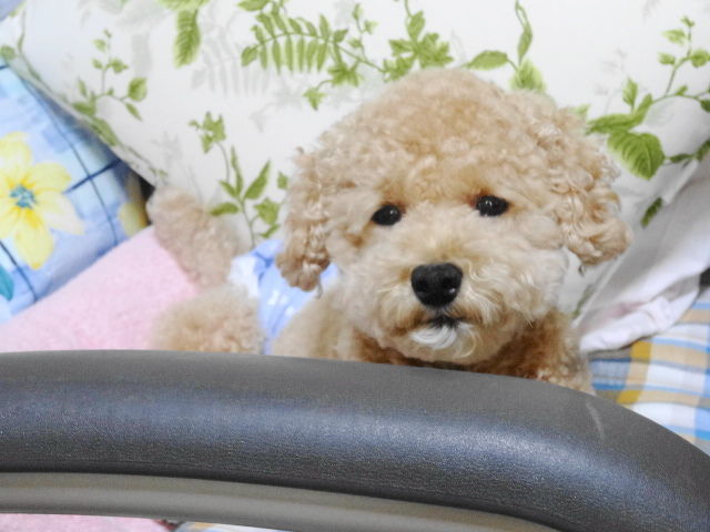 イメージ 9