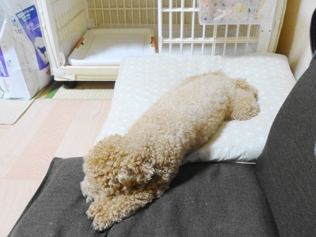 イメージ 3