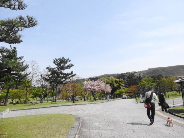 イメージ 11