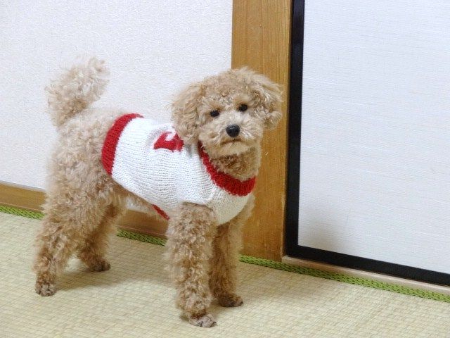 イメージ 1