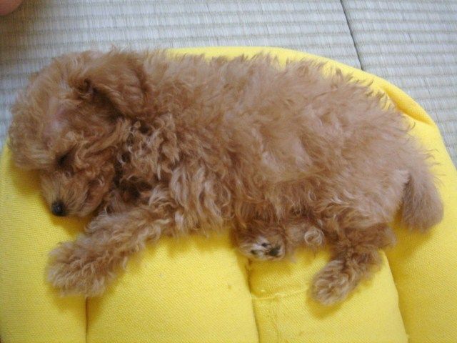 イメージ 2