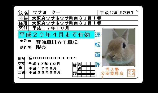 イメージ 11
