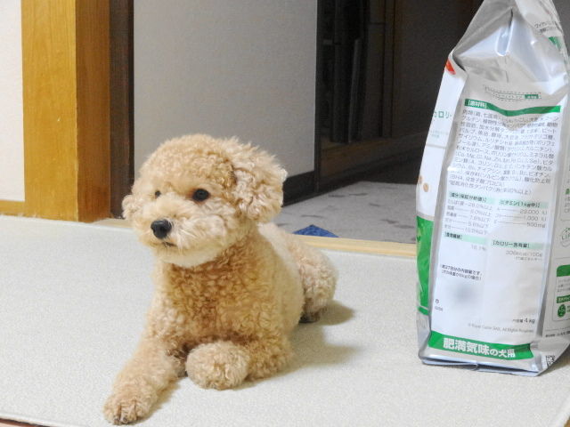 イメージ 2