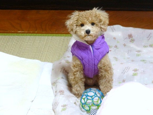 イメージ 3