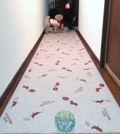 イメージ 16