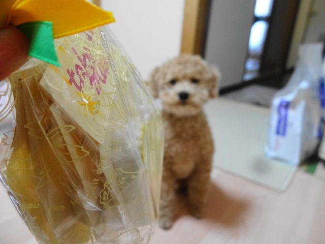 イメージ 4