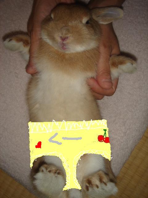イメージ 1