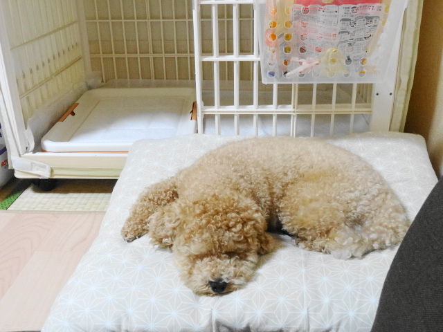 イメージ 1