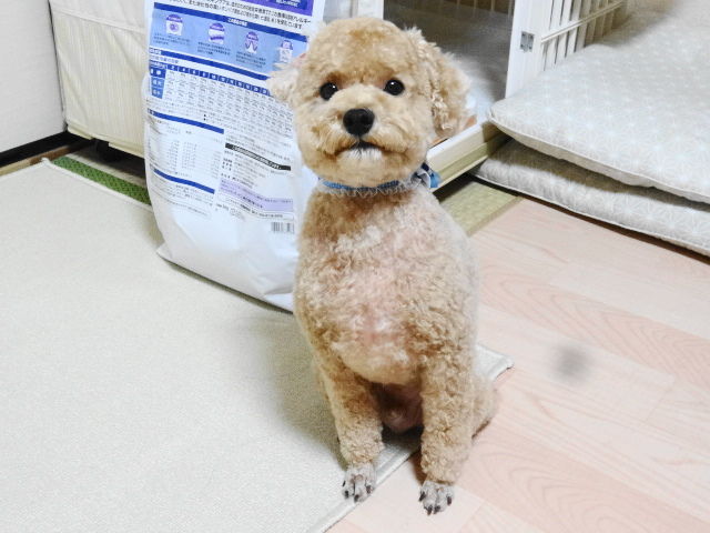イメージ 2