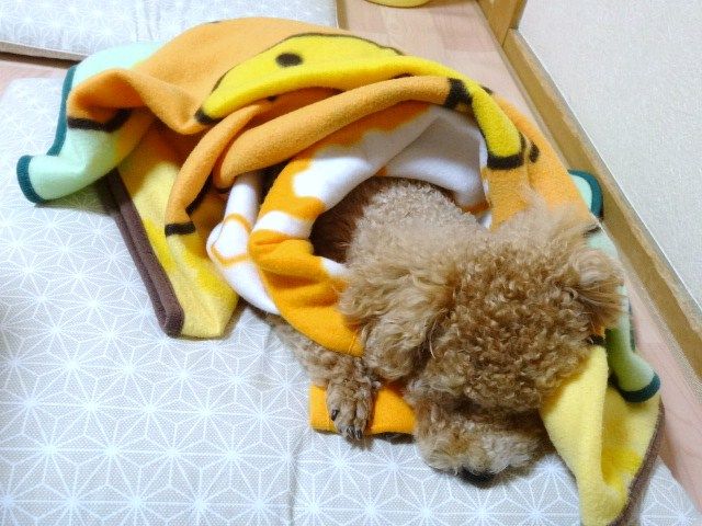 イメージ 3