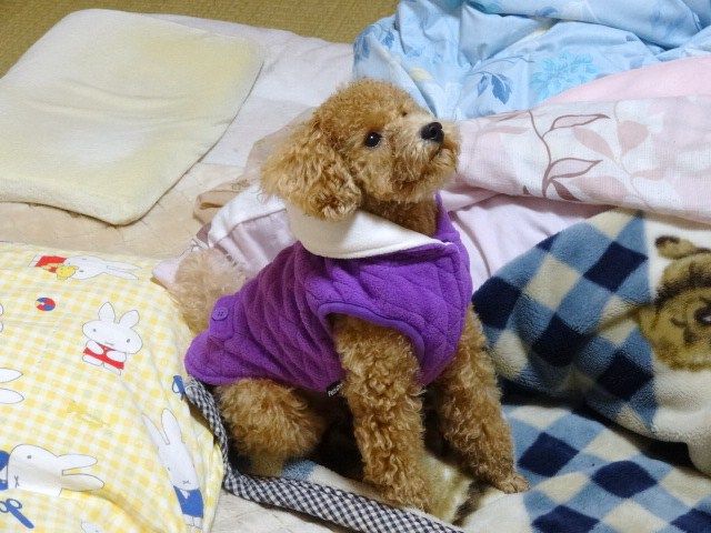 イメージ 6