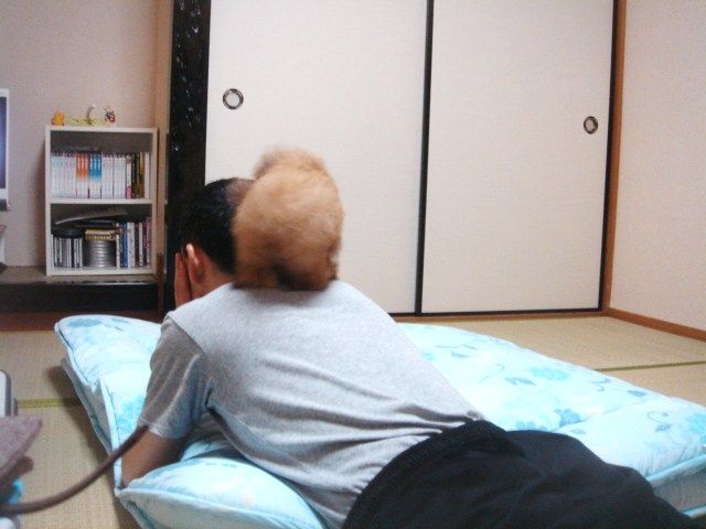イメージ 11