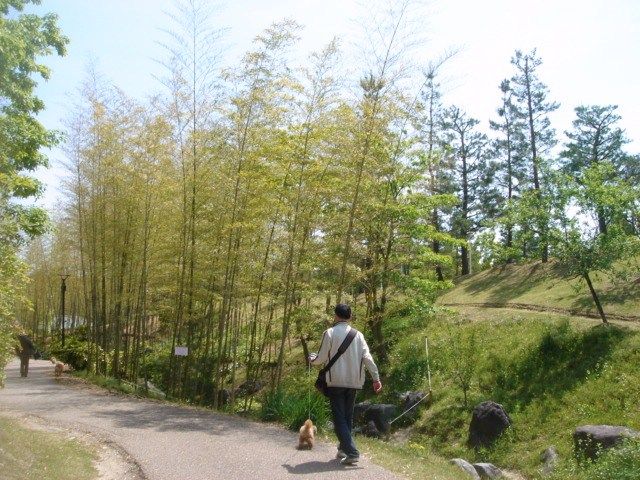 イメージ 11