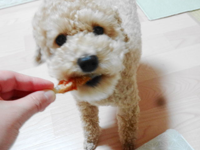 イメージ 15