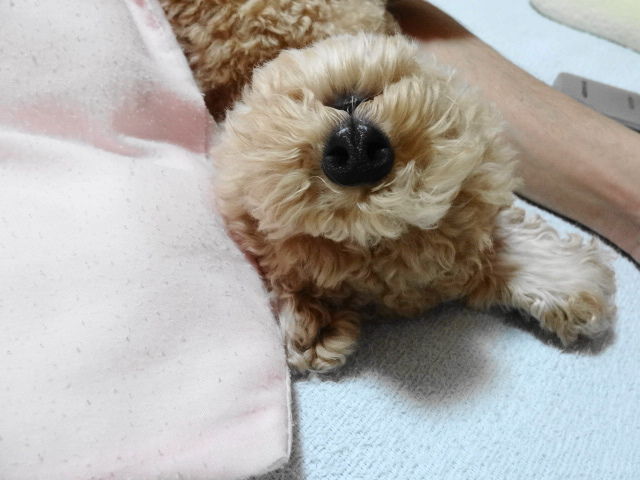 イメージ 3