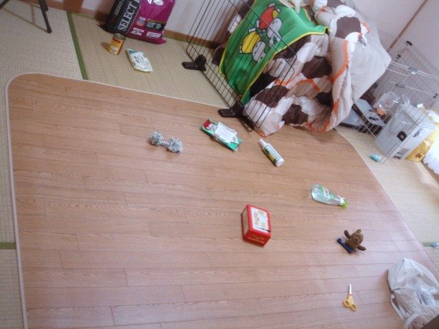 イメージ 1