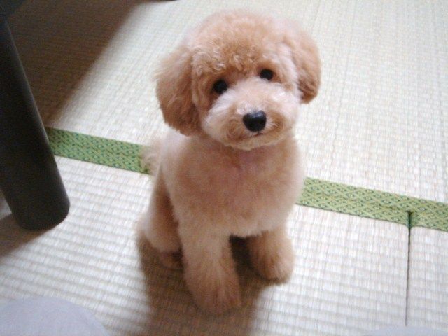 イメージ 6
