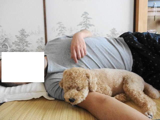 イメージ 3