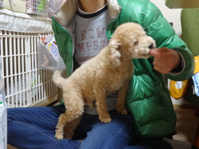 イメージ 14