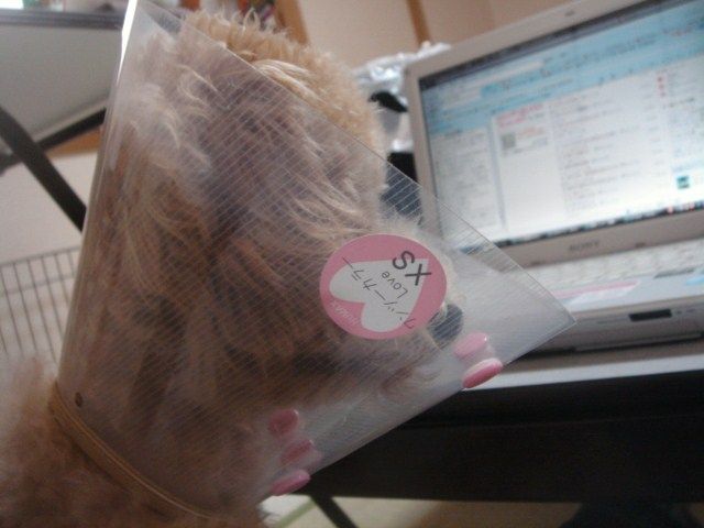 イメージ 5
