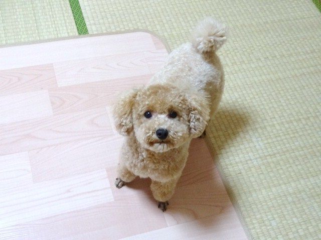イメージ 6