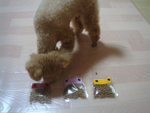 イメージ 14