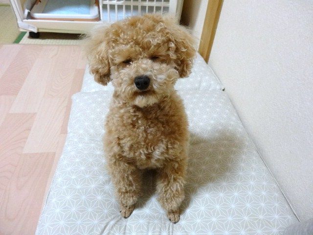 イメージ 8
