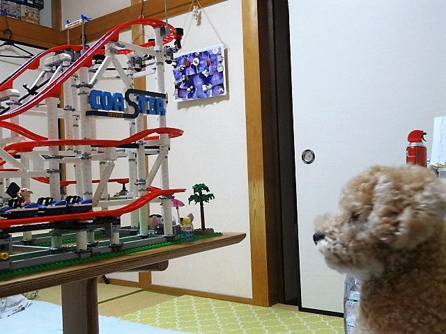 イメージ 7