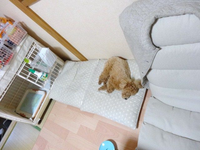 イメージ 3