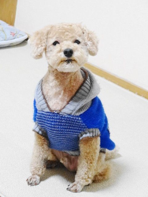 イメージ 1
