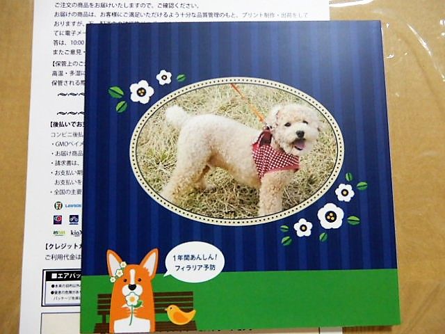 イメージ 1